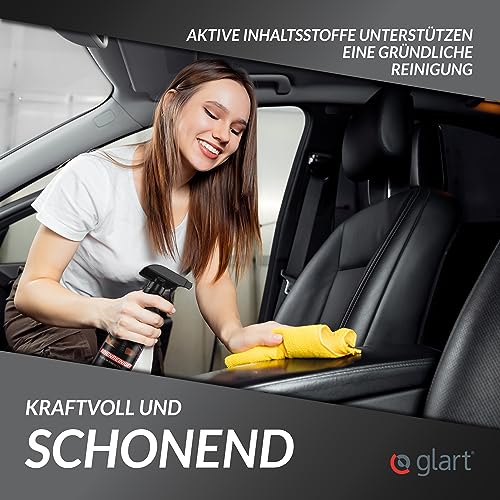 Autopolsterreinigung Glart 45IR Innenreiniger Fleckentferner