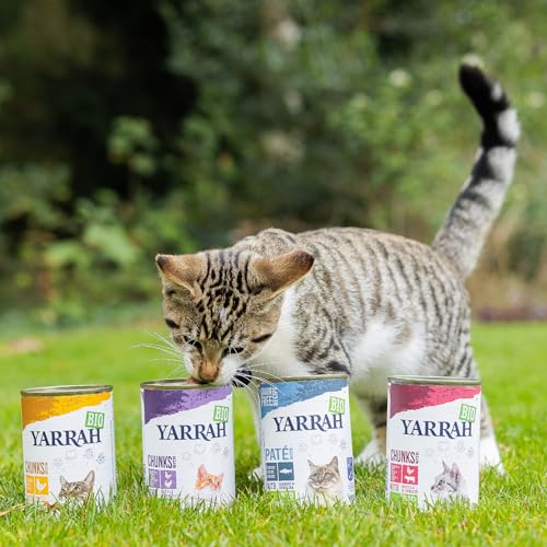 Bio-Katzenfutter Yarrah Bio Katzenfutter Pate mit Fisch 400 g, 12er