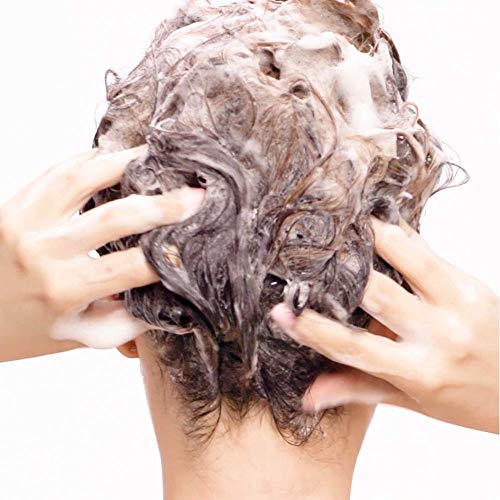 Feuchtigkeitsshampoo Redken All Soft Shampoo für trockenes Haar