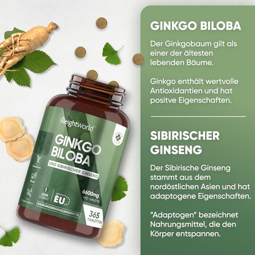 Ginkgo-Tabletten WeightWorld Ginkgo Biloba – 6600mg pro Dose