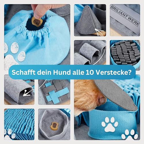 Hunde-Intelligenzspielzeug Briliantwerk ® Schnüffelteppich