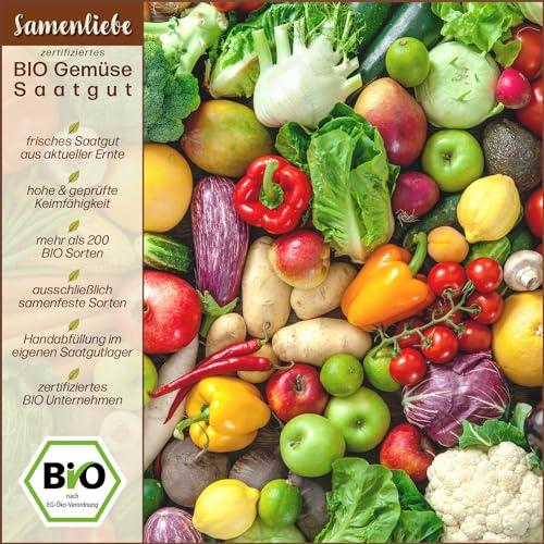 Kopfsalat-Samen Samenliebe BIO Kopfsalat Samen alte Sorte