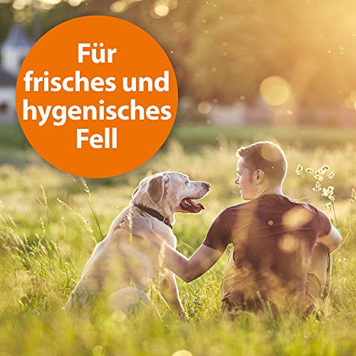 Flohshampoo-Hund ARDAP Anti Floh Shampoo für Hunde 250ml