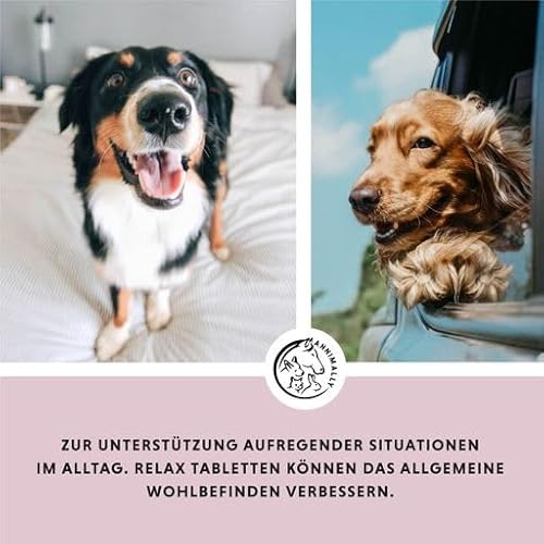 Beruhigungsmittel für Hunde Annimally Hunde Relax Tabletten