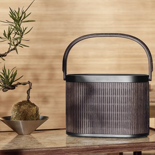 Bang-und-Olufsen-Lautsprecher Bang & Olufsen Beosound A5 – Loud