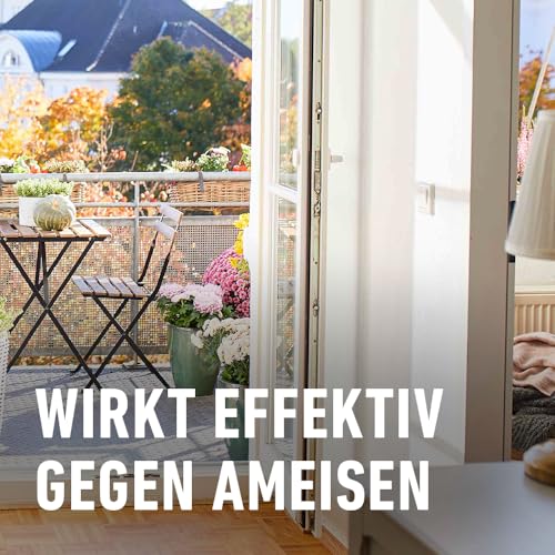 Ameisengift Compo Ameisen-frei – ideal gegen Ameisen