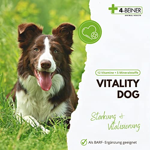 Hunde-Vitamine 4-BEINER ANIMAL HEALTH 4-BEINER Vitality-Dog