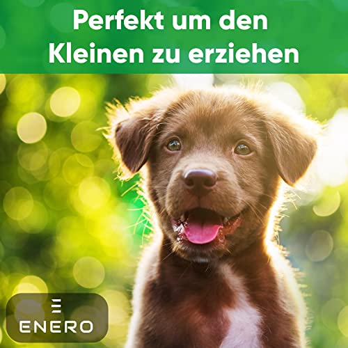 Hundepfeife ENERO ® mit praktischem Umhängeband