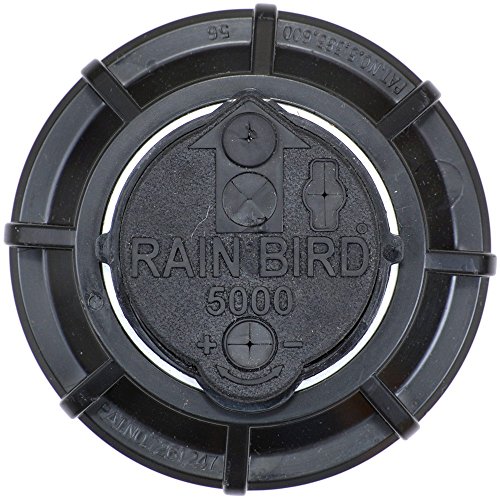 Versenkregner Rain Bird 5004-PC 3.0 Rasensprenger 3/4″