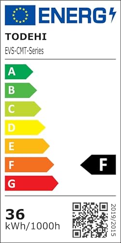 LED-Deckenleuchte mit Lautsprecher TODEHI RGB LED, 36W