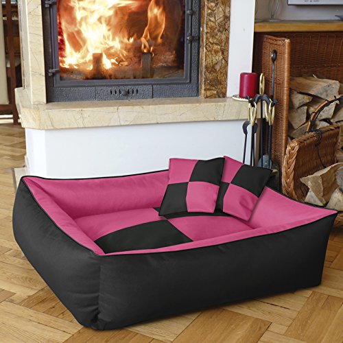 Hundebett BedDog 2in1 MAXQ, Hundekissen