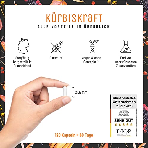 Prostata-Tabletten NATURTREU KÜRBISKRAFT Kürbiskern