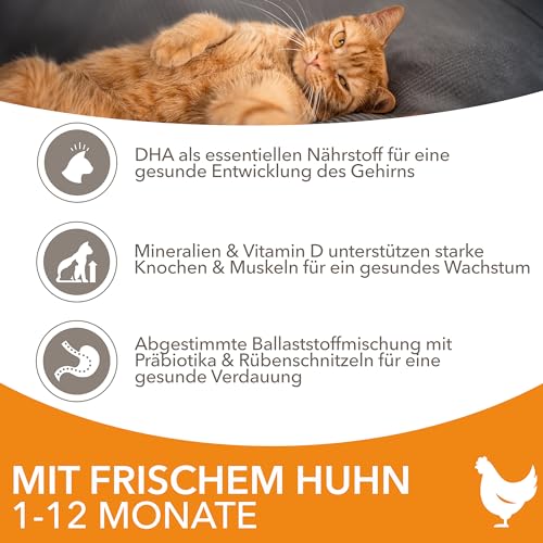 IAMS-Katzenfutter Iams Junior Katzenfutter trocken mit Huhn