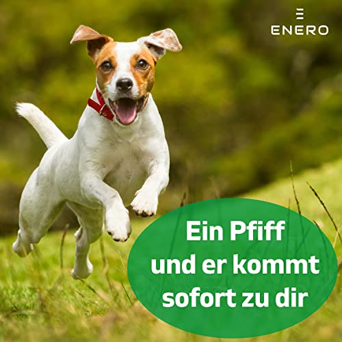 Hundepfeife ENERO ® mit praktischem Umhängeband