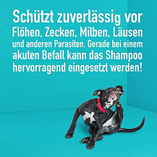 Flohshampoo-Hund Green Hero Floh- und Zeckenshampoo