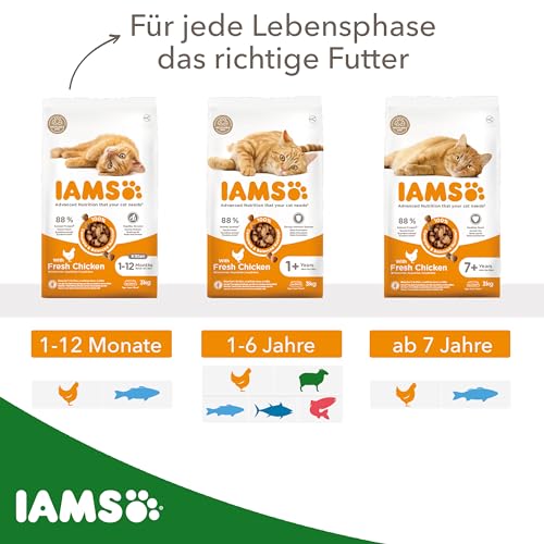 IAMS-Katzenfutter Iams Katzenfutter trocken mit Lamm