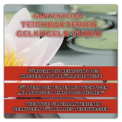 Teichbakterien GartenteichDirekt Gelkugeln Turbo