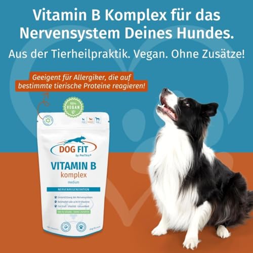 Hunde-Vitamine DOG FIT by PreThis ® Vitamin B Komplex