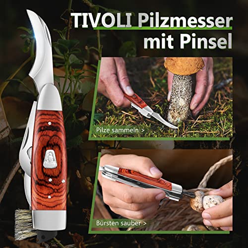 Pilzmesser TIVOLI mit Bürste Tragbares Schwammerlmesser