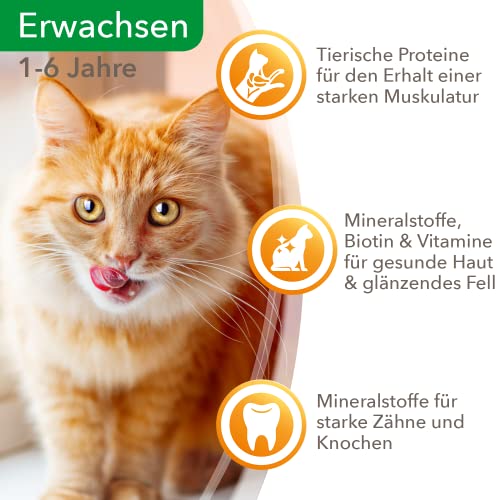 IAMS-Katzenfutter Iams Delights Katzenfutter Nass mit Thunfisch