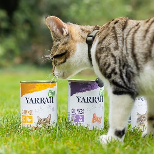 Bio-Katzenfutter Yarrah Bio Katzenfutter Pate mit Fisch 400 g, 12er