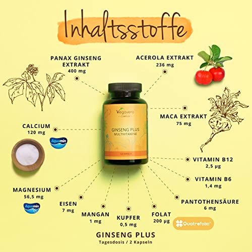 Ginseng-Kapseln Vegavero Panax Ginseng Multivitamin Komplex