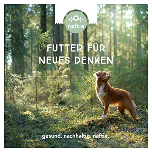 Veganes Hundefutter naftie Bio Linsen Power, Nassfutter Menü