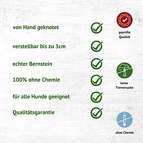 Bernstein-Halsband Hund ChronoBalance ® Bernsteinkette