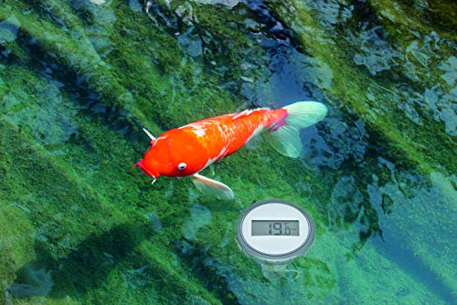 Poolthermometer Funk TFA Dostmann Poolsender mit Display