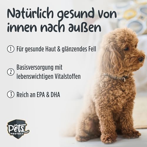 Hunde-Ergänzungsfutter Pets PROTECT Omega-3 Kapseln