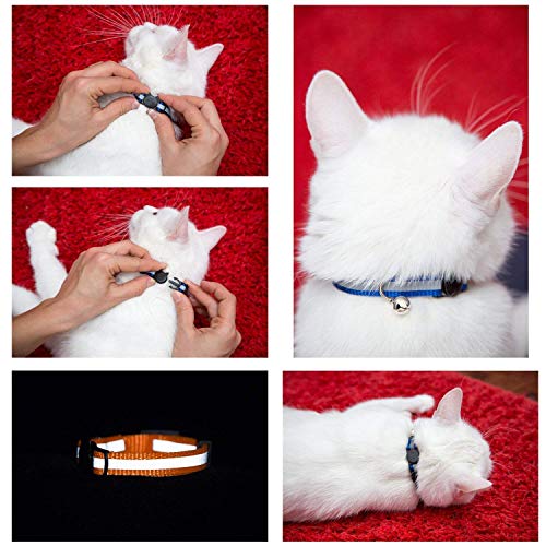 Katzenhalsband MAIYADUO Katzenhalsbänder mit Glocke