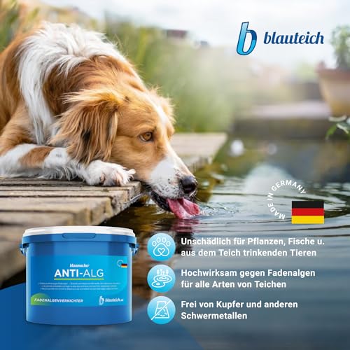 Fadenalgenvernichter BLAUTEICH blaumacher Anti-ALG