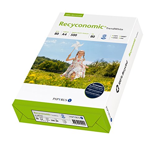 Druckerpapier 80g inapa Recycling-Papier, Recyconomic