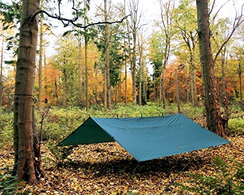 Tarp DD HAMMOCKS DD, leichte Plane, 4 m x 4 m, Grün