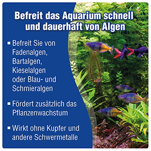 Mittel gegen Fadenalgen AQUALITY Aquaristik & Gartenteich