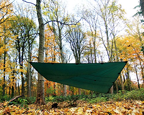 Tarp DD HAMMOCKS DD, leichte Plane, 4 m x 4 m, Grün