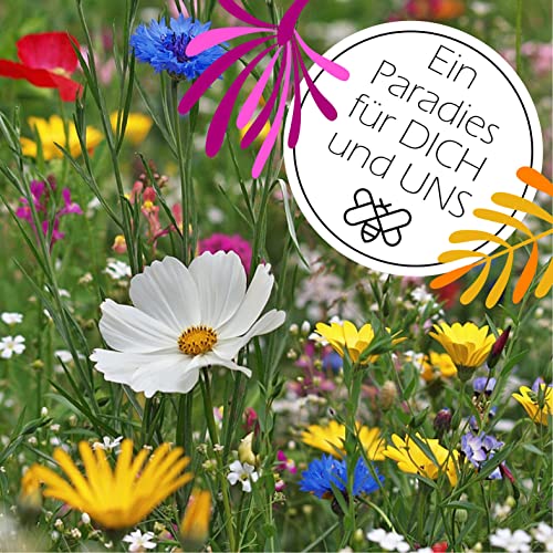 Blumenwiese-Samen goodTRITION 100 g Blumensamen für 100 qm