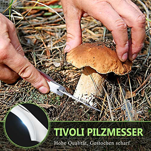 Pilzmesser TIVOLI mit Bürste Tragbares Schwammerlmesser