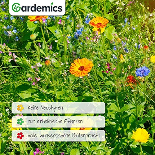 Blumenwiese-Samen Gardemics Blumensamen Bienen für 50m²