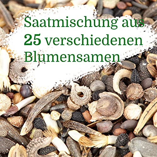 Blumenwiese-Samen OwnGrown Bienenwiese Blumenmischung: 100g Premium