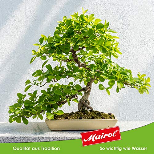 Bonsai-Dünger Mairol Bonsaifreude Liquid 500 ml