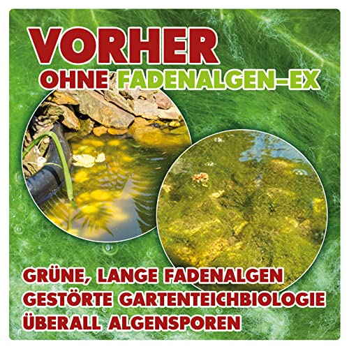 Mittel gegen Fadenalgen AQUALITY Aquaristik & Gartenteich