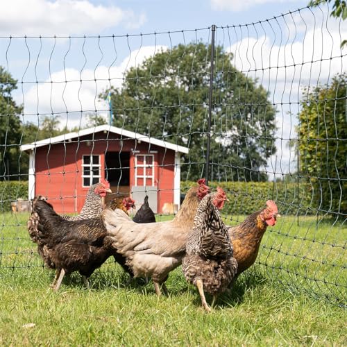 Geflügelnetz VOSS.farming farmNET 50m Hühnerzaun