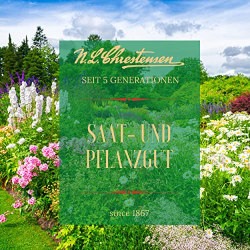 Blumenwiese-Samen Chrestensen N.L. Blumensamen Mischung, Saatgut