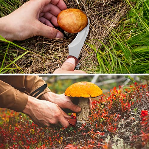 Pilzmesser GVDV mit Bürste und Lineal, Champignon/Trüffel