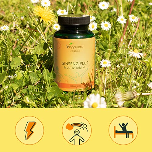 Ginseng-Kapseln Vegavero Panax Ginseng Multivitamin Komplex