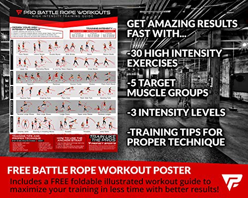 Battle-Rope Profect Sports Pro Battle Ropes mit Ankergurt-Set