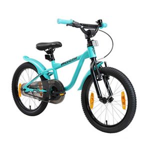 Vélo pour enfants de 18 pouces avec roue de lion pour garçons