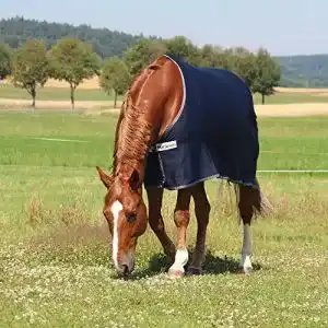 Abschwitzdecke horseware horseven cooler lucky seven