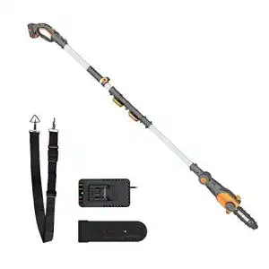 Akku hochentaster worx 20v akku teleskop wg349e